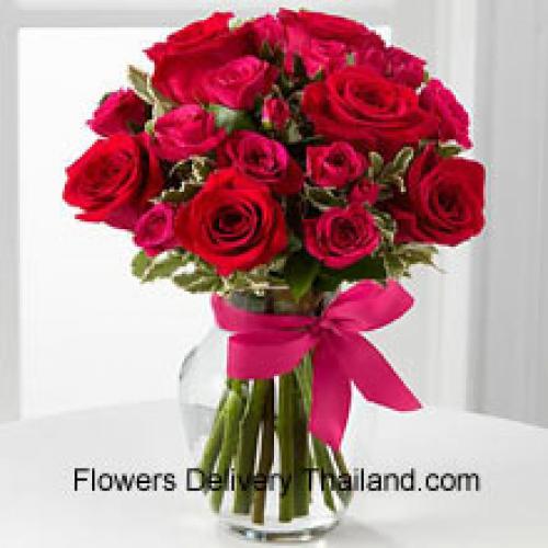 18 Cute Red Roses with Pink Bow